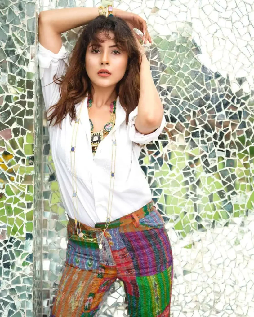 শেহনাজ গিল ছবি