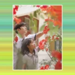 5টি কোরিয়ান নাটক এবং ফিল্ম অবশ্যই দেখতে হবে যা আপনি Jio সিনেমাতে বিনামূল্যে স্ট্রিম করতে পারেন