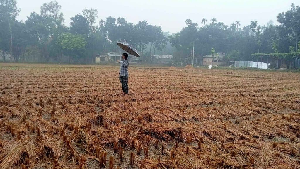 কৃষিতে 