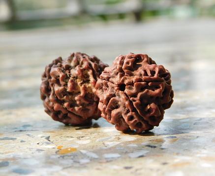 রুদ্রাক্ষ