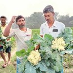 পুকুরে কন্যাসন্তানকে ছুড়ে ফেলার অপরাধে বাবার যাবজ্জীবন কারাদণ্ড