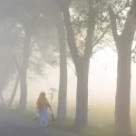 সপ্তাহান্তে আরও নামবে তাপমাত্রা, ঘন কুয়াশার সতর্কতা জারি আট জেলায়