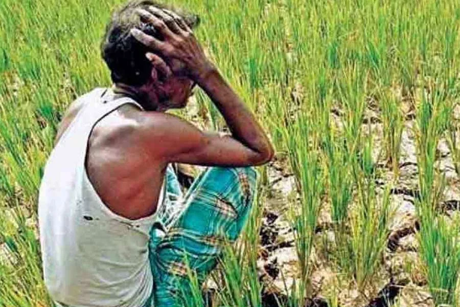 কৃষকদের
