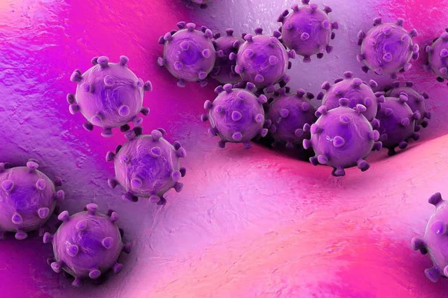 এইচএমপিভি