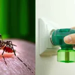 মশা তাড়ানোর ধূপ বা তেলের যন্ত্র সারা রাত জ্বালানো: কী ঝুঁকি আছে জানেন?