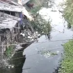 সরস্বতী নদীর দূষণ নিয়ন্ত্রণের পরিকল্পনা কাগজেই সীমাবদ্ধ? বাস্তব কাজ এখনও অধরা