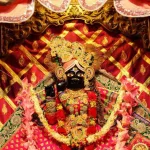 জমি কেনার নামে শত কোটির সম্পত্তি দখলের চেষ্টা? বাঁকে বিহারী মন্দিরকে ঘিরে উত্তাপ