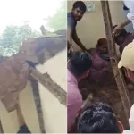 দিল্লিতে হুমায়ুনের সমাধিক্ষেত্রের একাংশ ভেঙে বিপর্যয়: মৃত পাঁচ, নিখোঁজের আশঙ্কা