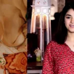 বিয়ের ছবিতেও মুখ লুকোনোয় তীব্র কটাক্ষ জ়াইরা ওয়াসিমকে! প্রশ্ন ধর্মীয় সংস্কার নিয়ে