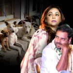 🐾 “রাস্তার কুকুরের ঠিকানা কোথায়?” — সুপ্রিম কোর্টের নির্দেশ ঘিরে ক্ষোভে টলিউড