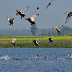 চেনা গণ্ডির বাইরে শীতের ভ্রমণ— বাংলার কাছেপিঠেই ৫ অপূর্ব গন্তব্য, যা এখনও নজরের আড়ালে