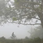 কুয়াশার চাদরে দক্ষিণবঙ্গ, উত্তরে কনকনে ঠান্ডা! কলকাতার পারদ বাড়লেও শীতের দাপট কোথায় কত