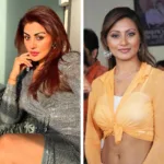 বলিউডের আলো ছেড়ে নতুন ঠিকানা: দুবাইয়ে রিমি সেনের দ্বিতীয় ইনিংস