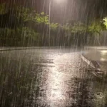 ভোরের বৃষ্টি আর দমকা হাওয়ায় চমকাল শহর: বসন্তের শুরুতেই ভিজল কলকাতা ও দক্ষিণবঙ্গ