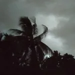 ফের বদলাবে আবহাওয়া: কলকাতায় বৃষ্টির ইঙ্গিত, উত্তরে ঝড়-ভারী বৃষ্টির সতর্কতা