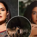 “লোভের কি শেষ নেই? পাপ হবে!” শহরের রাস্তায় নীলগাই, পরিবেশ ধ্বংসে ক্ষুব্ধ রিচা-সাবা