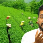 চা-বাগানের জমি বিক্রির টাকায় তৃণমূলের নির্বাচনী খরচ? তদন্তের দাবিতে কমিশনে নোট পাঠাবেন শঙ্কর