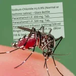 ডেঙ্গির মরসুমে ওষুধ-স্যালাইন নিয়ে চাপ, তিন সংস্থায় নিষেধাজ্ঞায় ভিন্‌রাজ্যের দিকে তাকিয়ে বাংলা